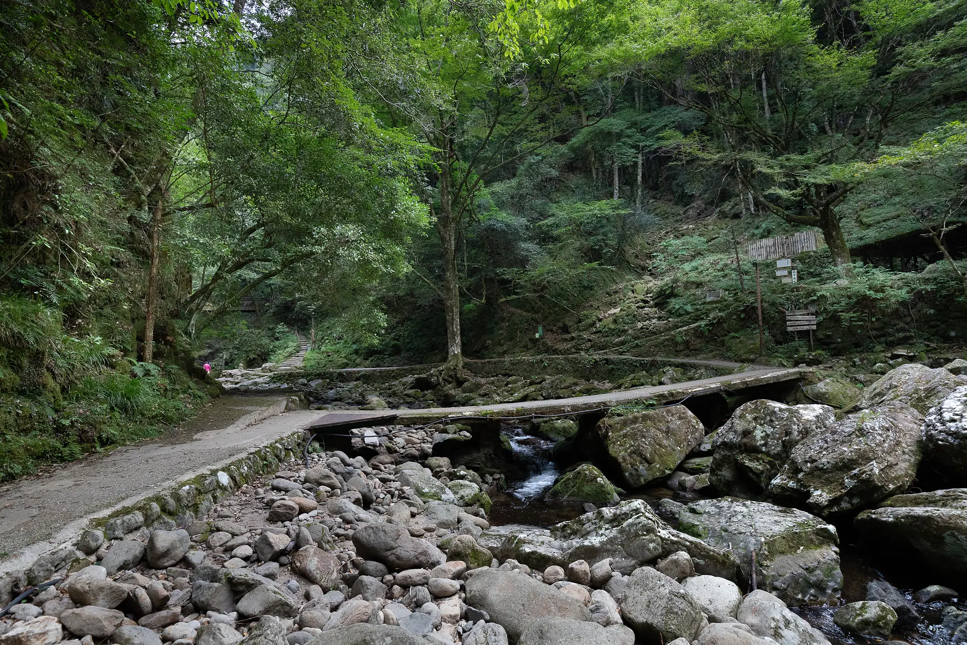 赤目四十八滝　幽玄の竹あかり005