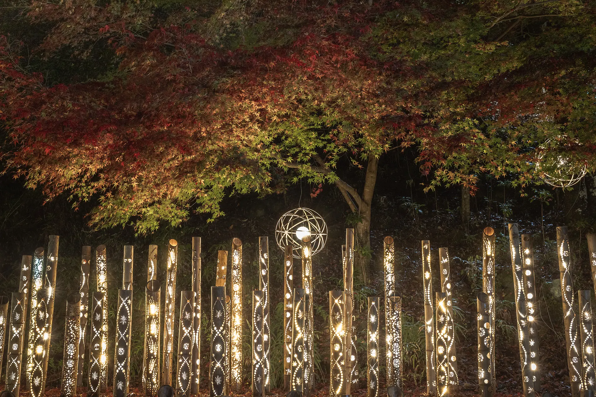 赤目四十八滝　幽玄の竹あかり⑨