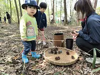 森のゆうえんち