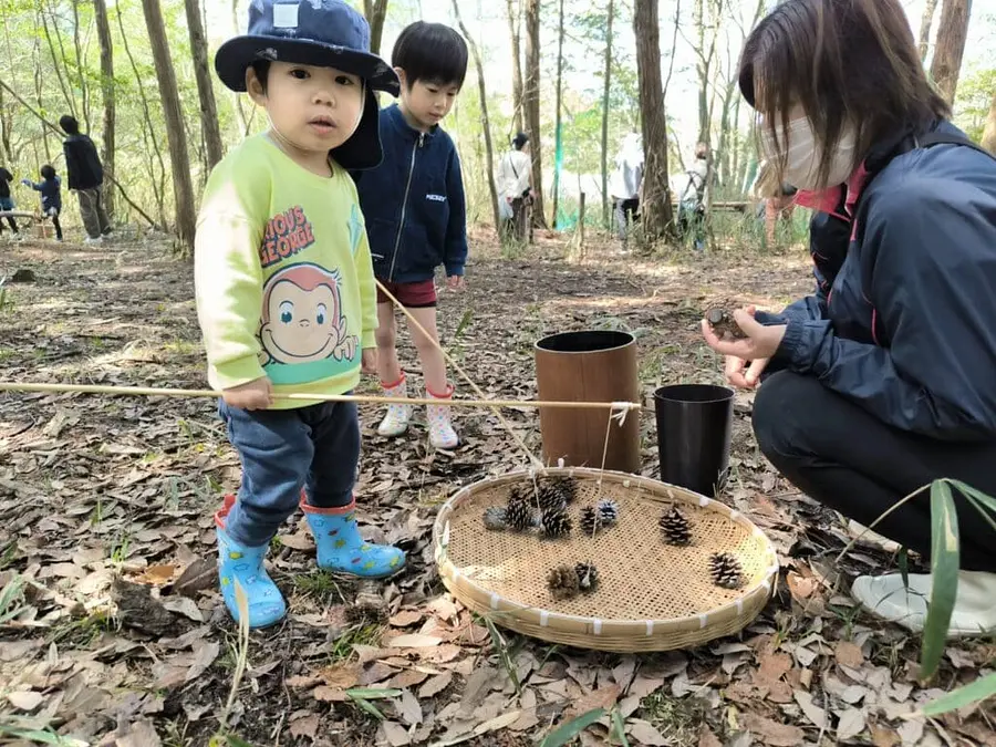 森のゆうえんち