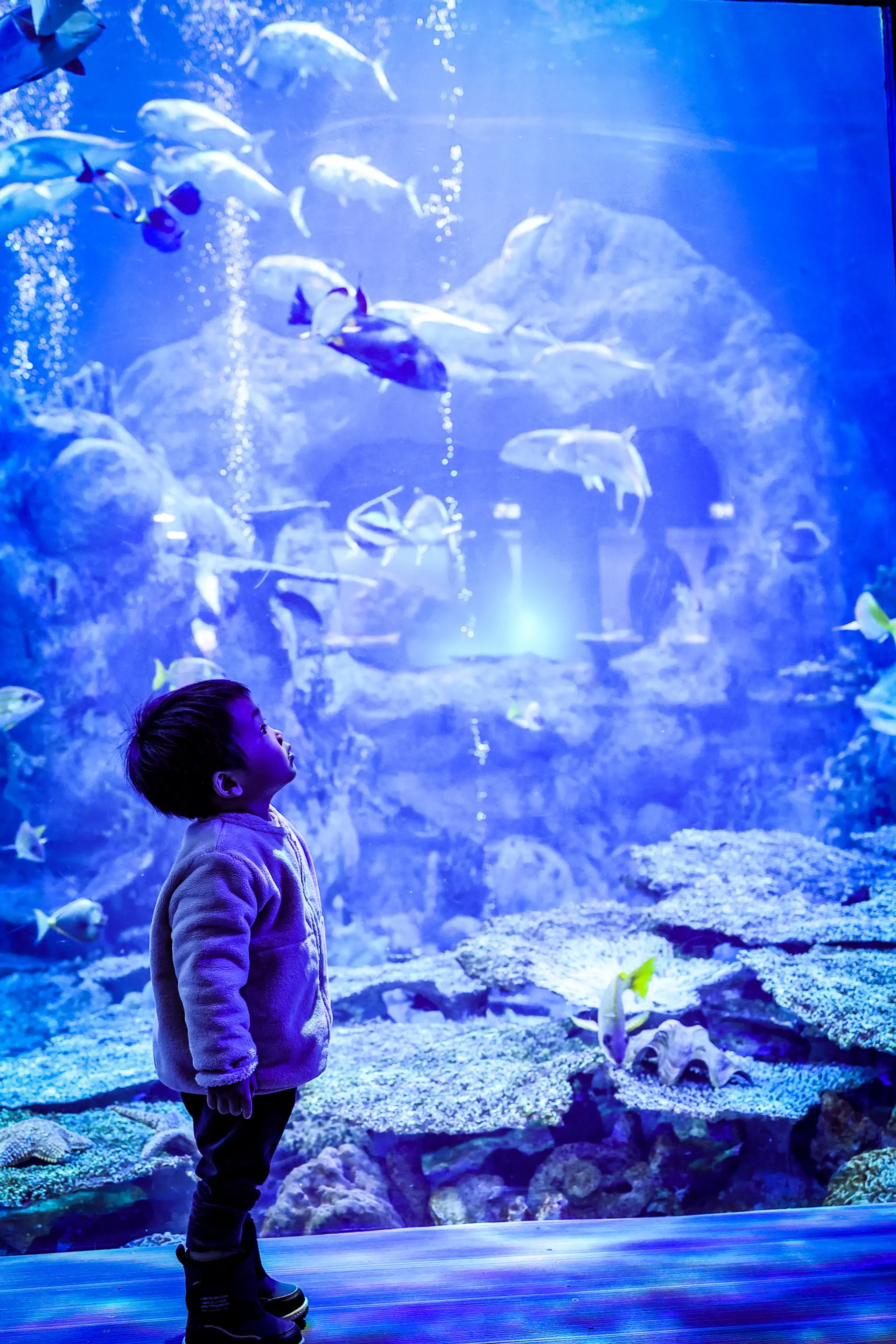 ダイビング気分