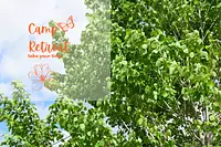 【Camp Retreat】自然の中でリトリート