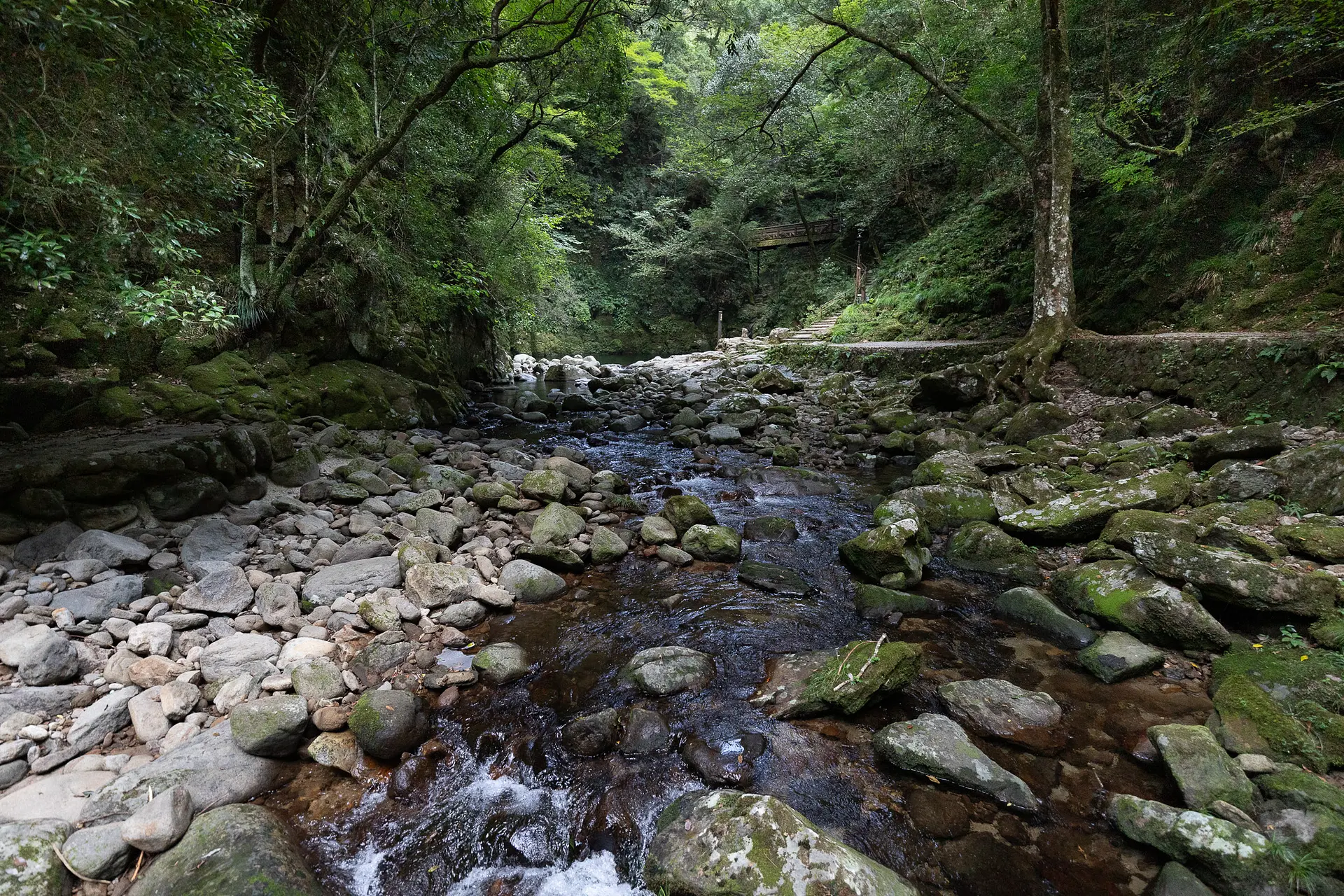 赤目四十八滝　幽玄の竹あかり004