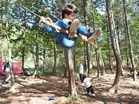 森のゆうえんち