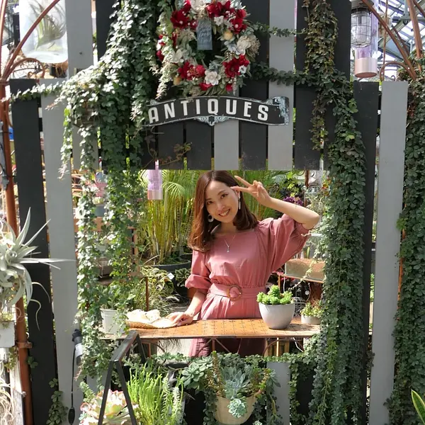 キャスターマミの画像