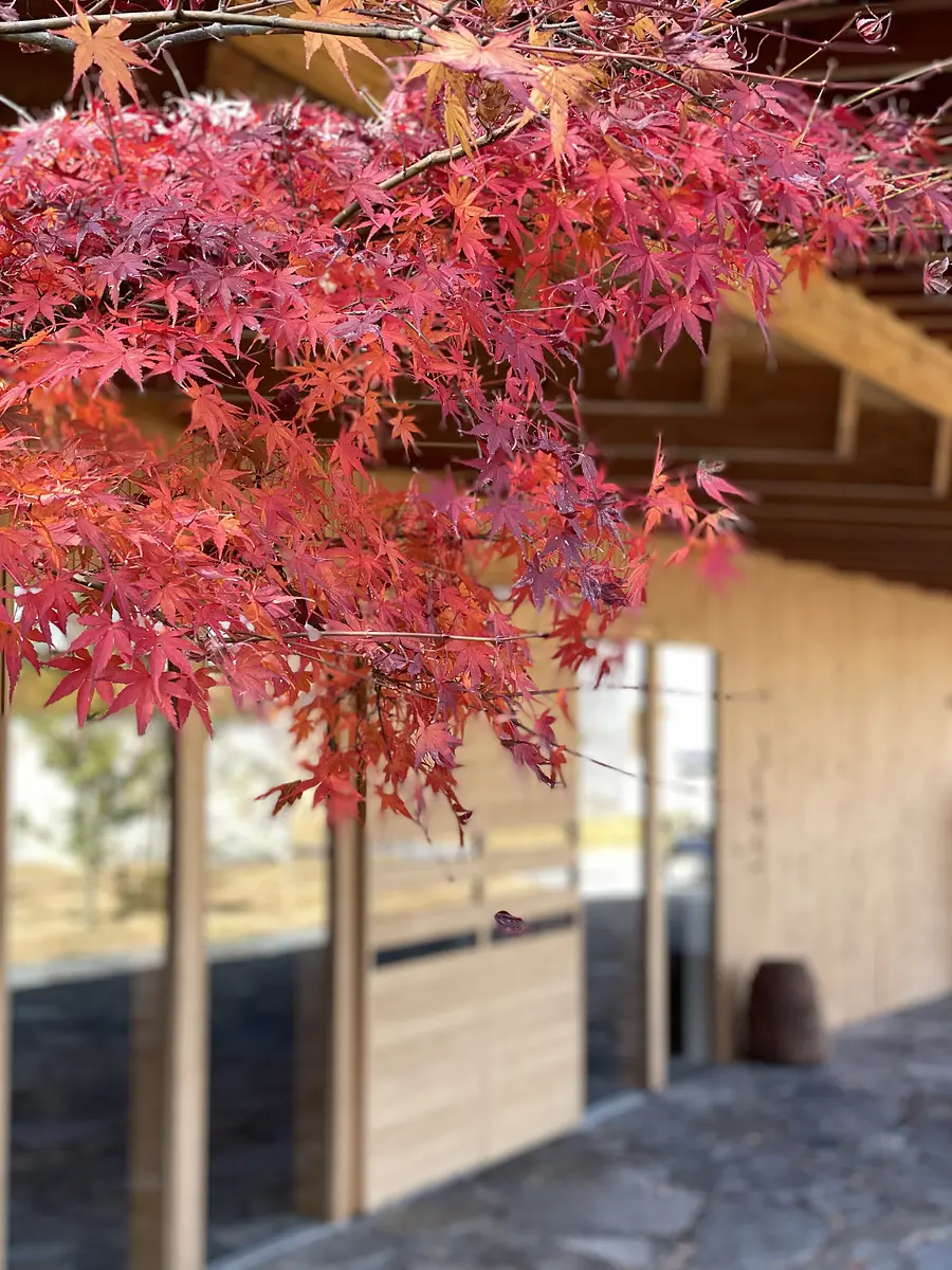 【レストランHINOMORI】 紅葉シーズン限定｜片岡温泉入浴券付き 日帰りランチプラン ご予約受付中