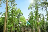 フォレストアドベンチャー・湯の山