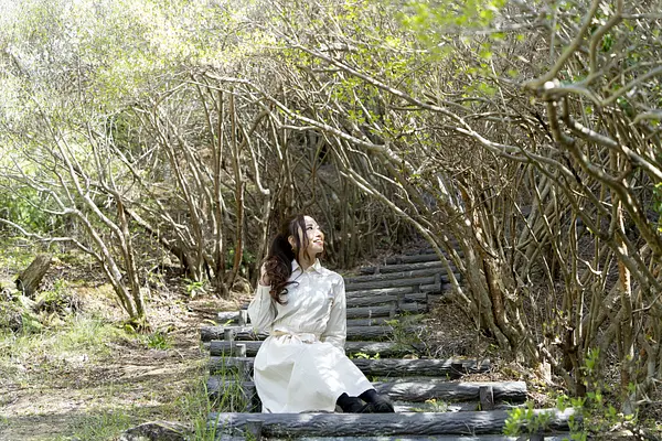 キャスターマミの画像