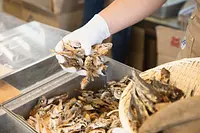 無添加商店 尾粂 三重VISON店（VISON）