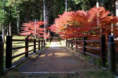 尾高観音の紅葉（1）