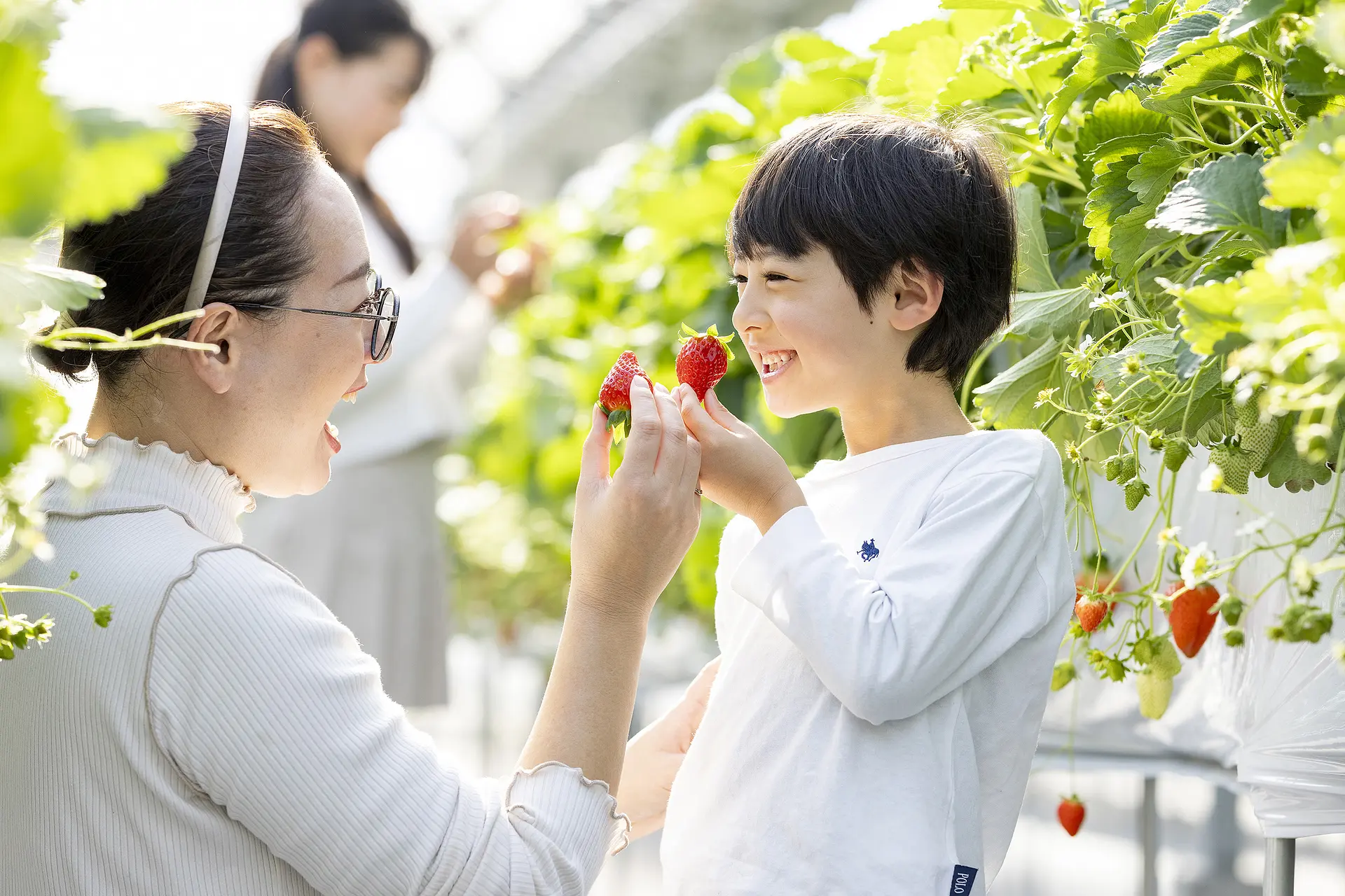 ナガシマファームのいちご狩り 