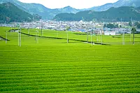 飯南町景色