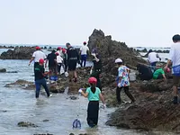 相差磯場体験 in 千鳥ヶ浜（相差旅館組合×三重大学）