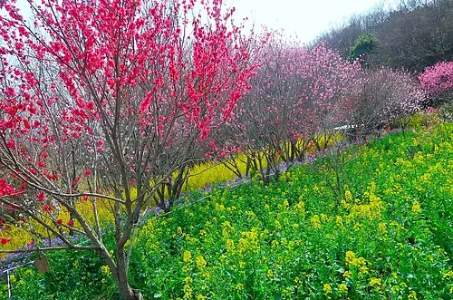 三重県営サンアリーナ 花の広場