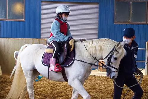 Balade à poney et visite des écuries