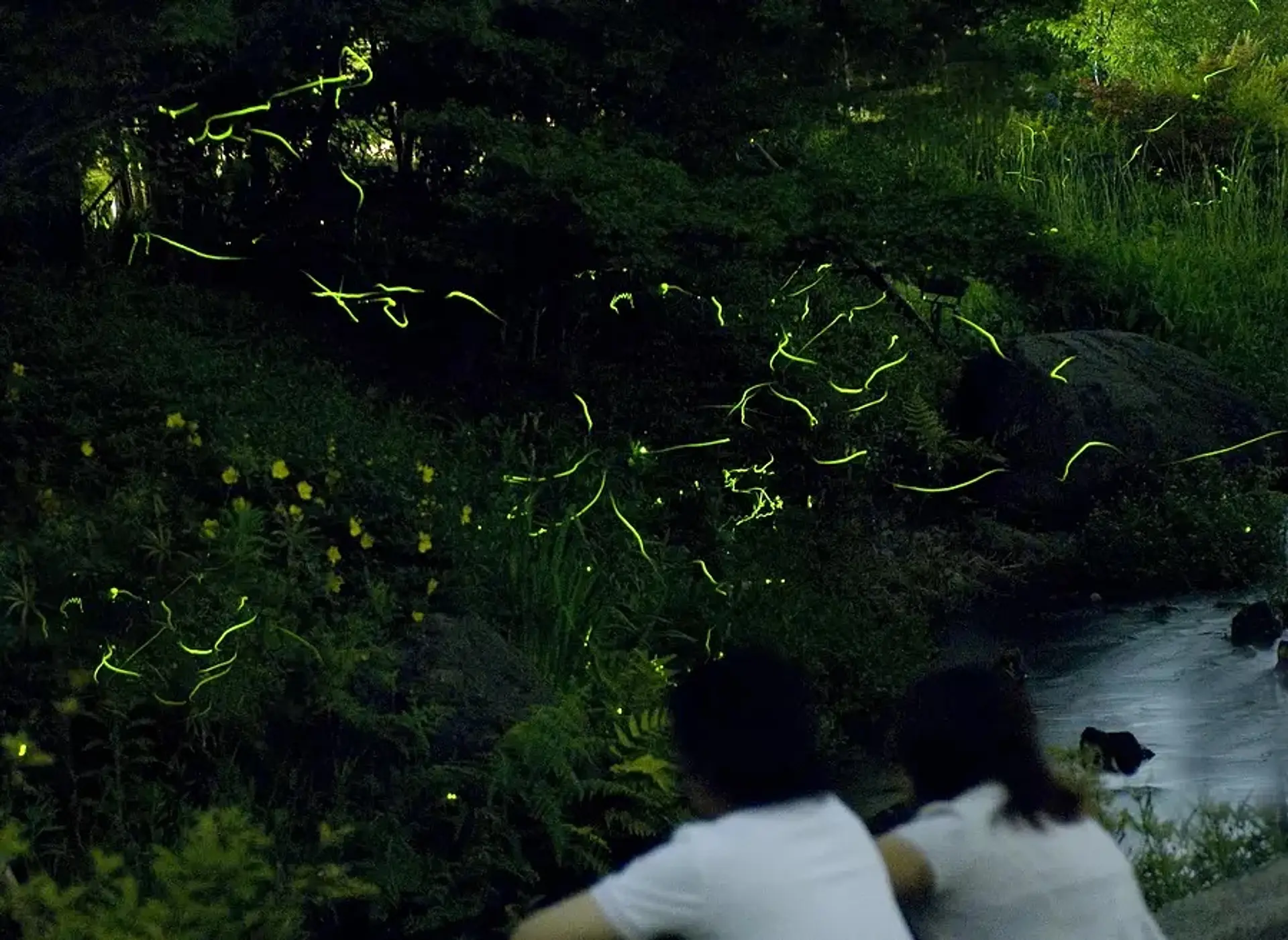 なばなの里 ホタルまつり