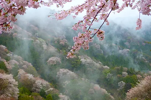 Concours photo Dontokoi Odai 2016 1ère place « Aizu Pass dans la brume matinale »