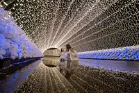 なばなの里イルミネーション