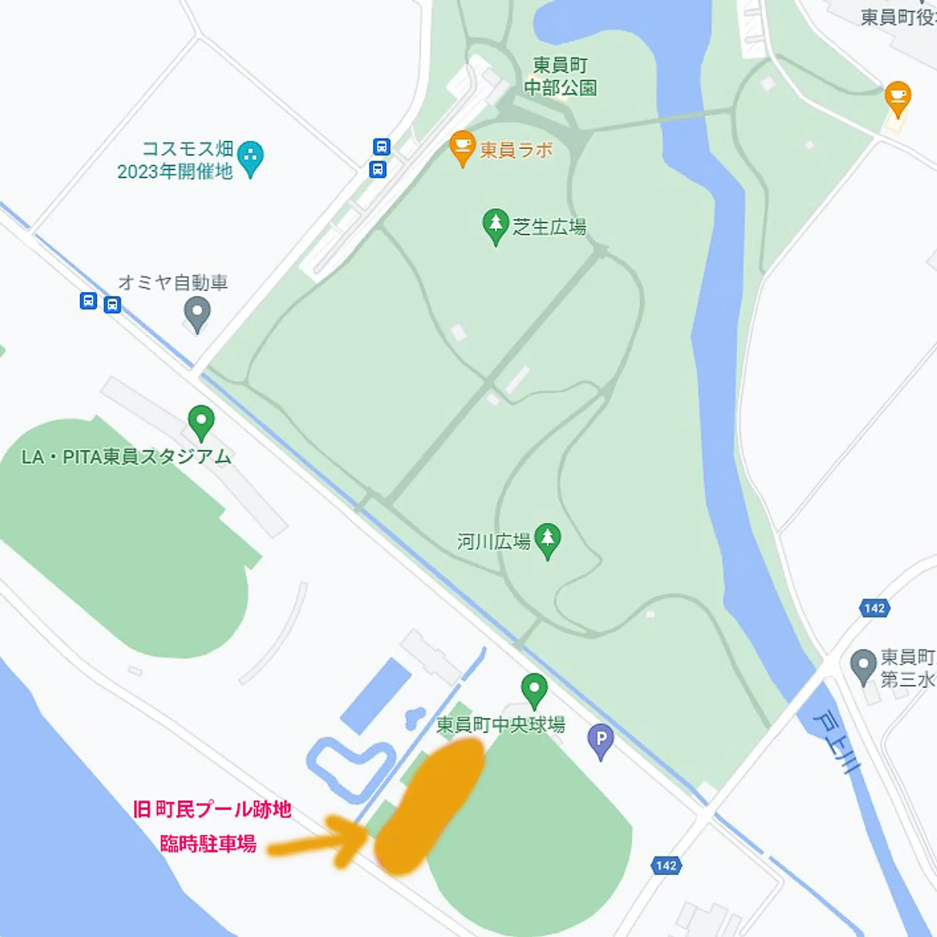 東員町のコスモス⑧