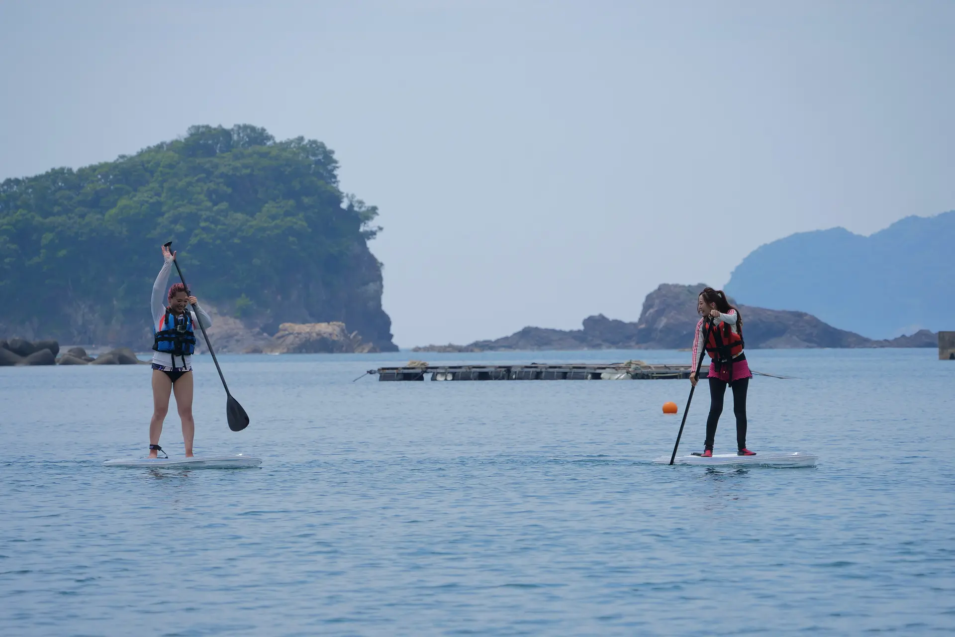 スケルトンサップ