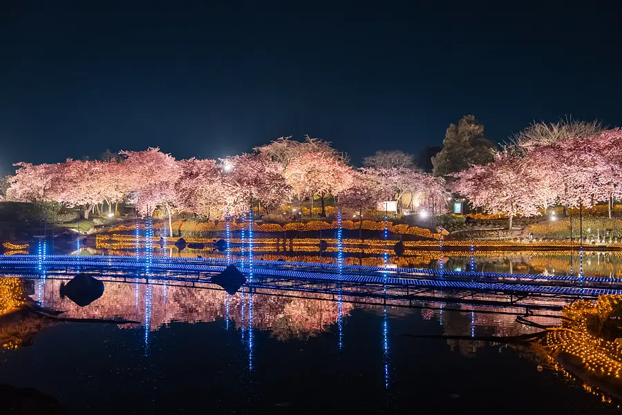 なばなの里イルミネーション