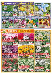 FFCパビリオン 29周年感謝祭