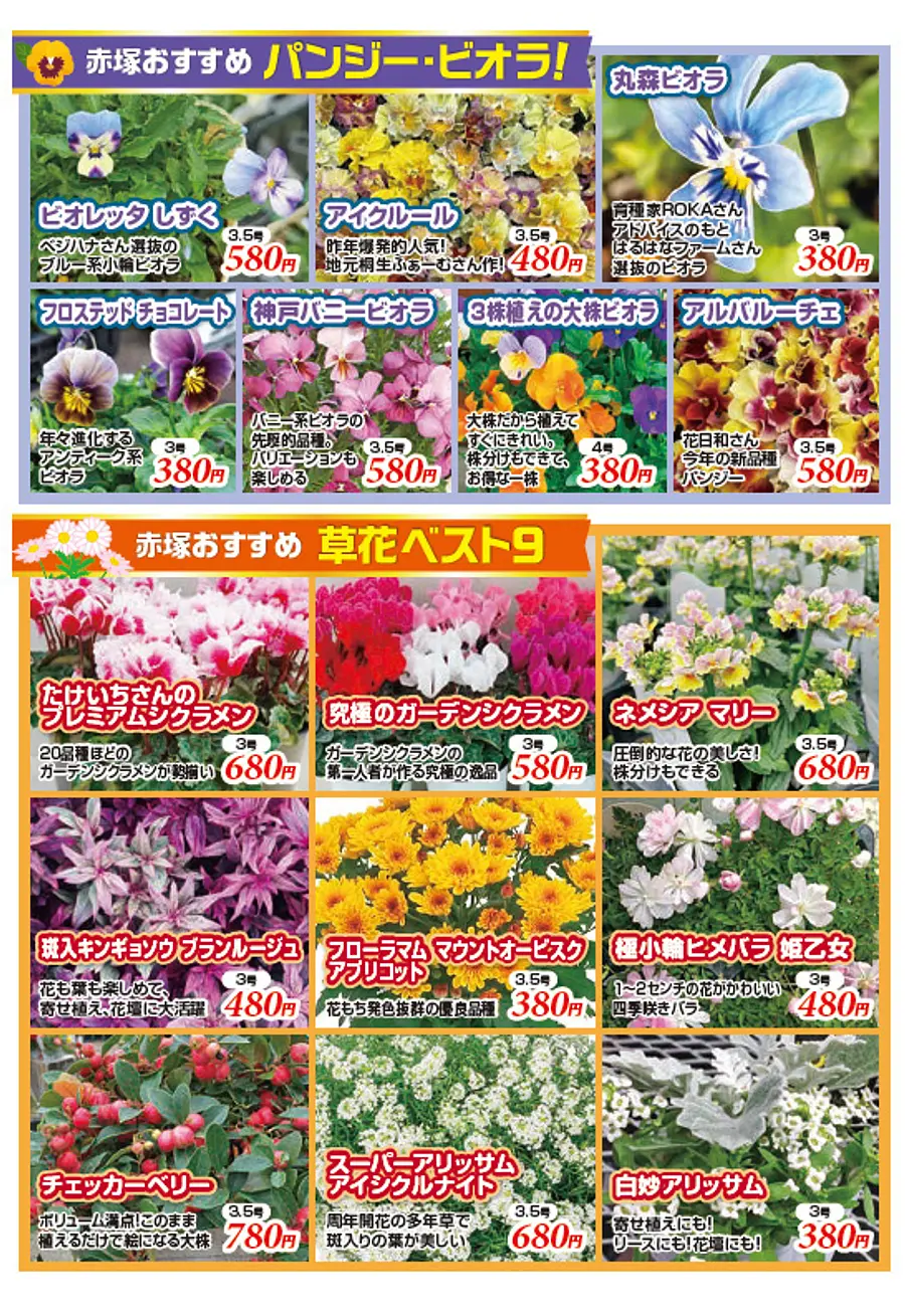 FFCパビリオン 29周年感謝祭