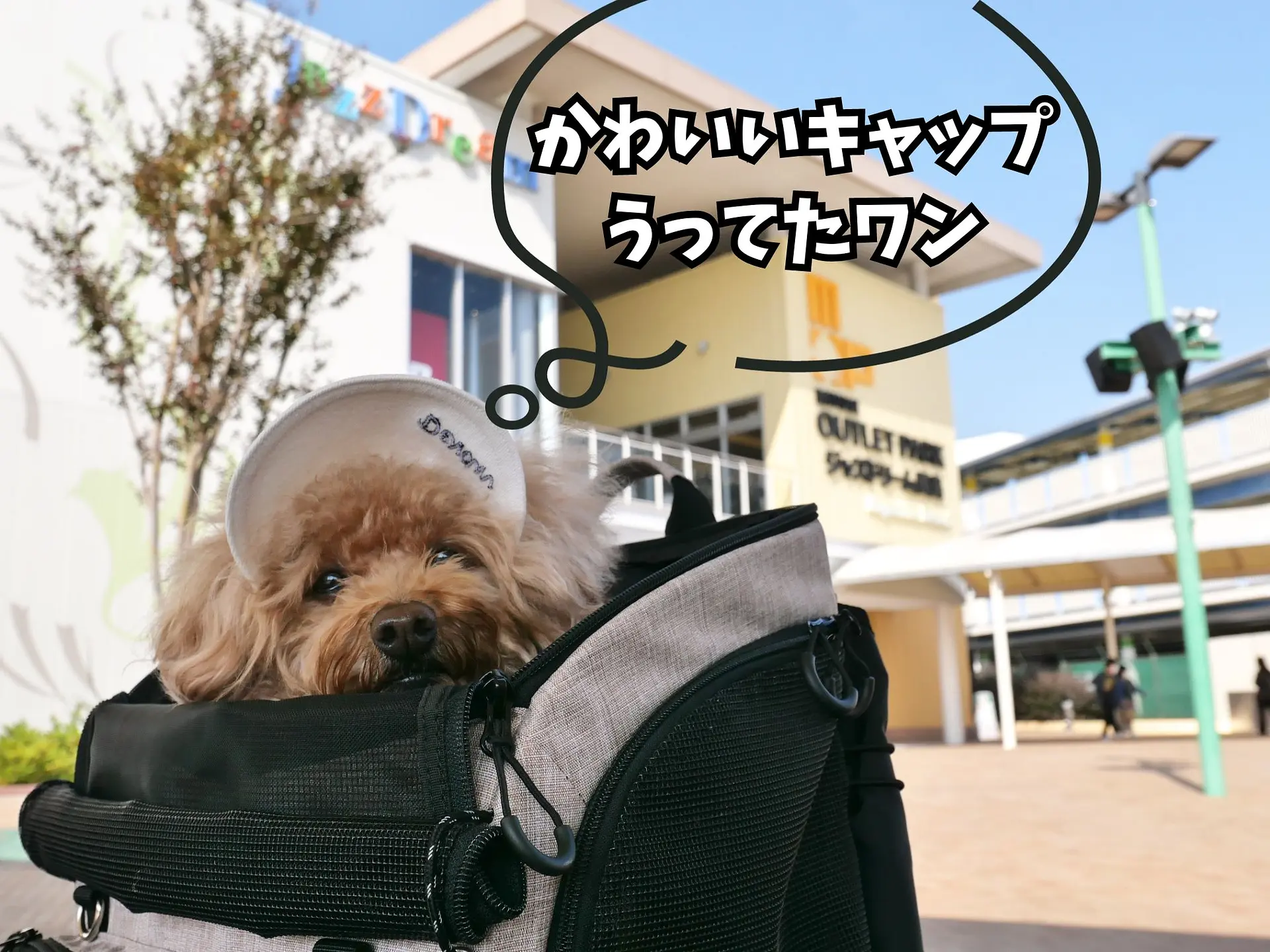 ジャズドリーム長島