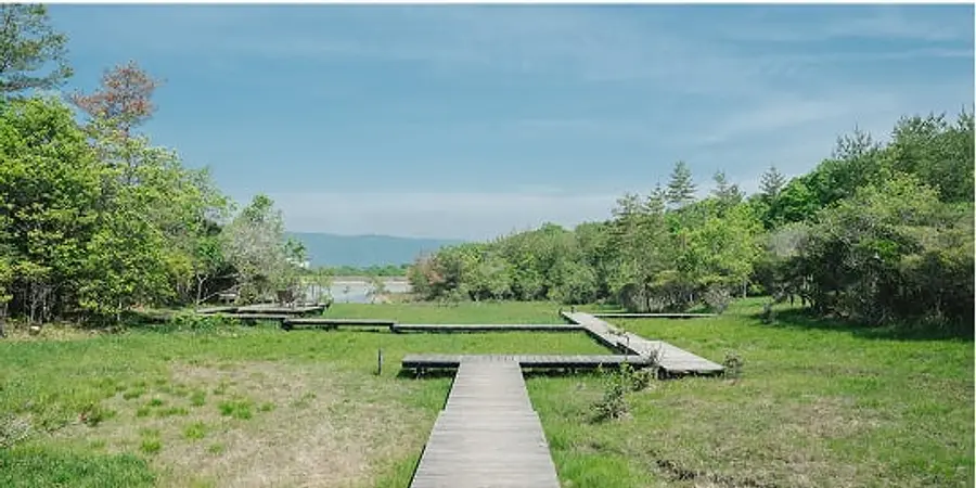 サギソウ園