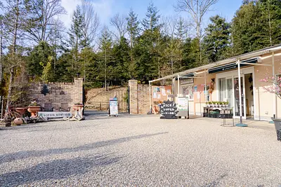 レッドヒルヒーサーの森（1）