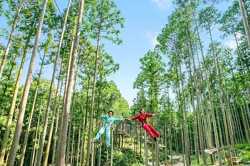 フォレストアドベンチャー・湯の山