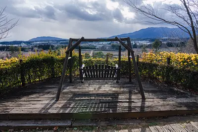 レッドヒルヒーサーの森（2）