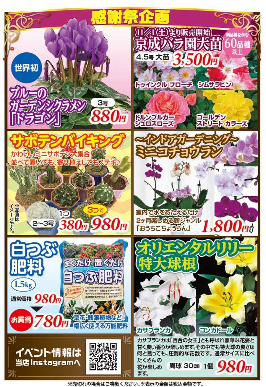 FFCパビリオン 29周年感謝祭