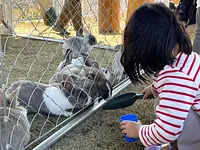 kiondにごかつら池どうぶつパークがやってくる！