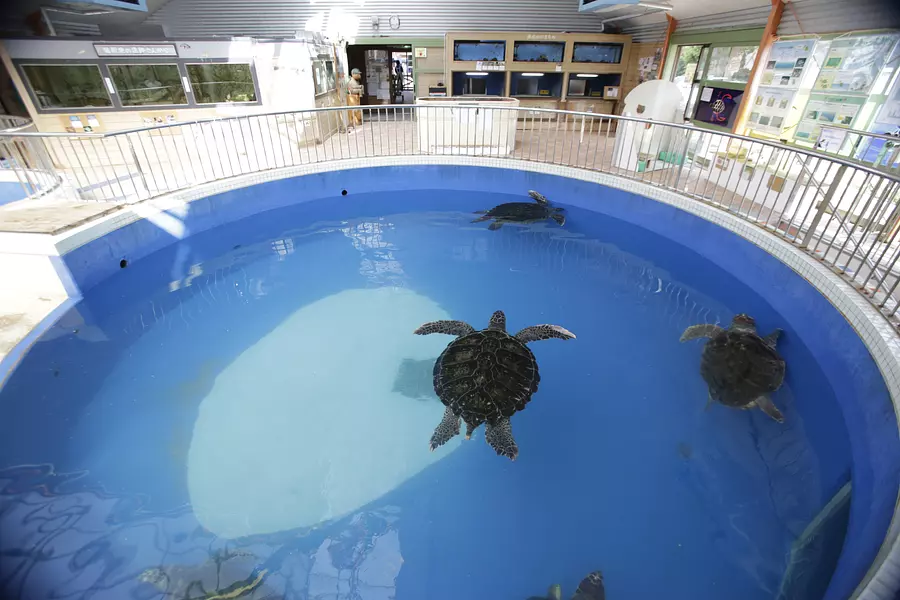道の駅「紀宝町ウミガメ公園」
