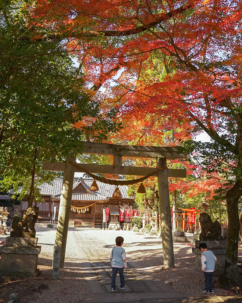 亀山神社の紅葉