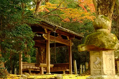 積田神社のイチョウとモミジ（6）