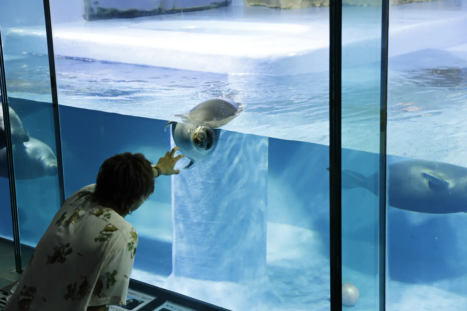 鳥羽水族館
