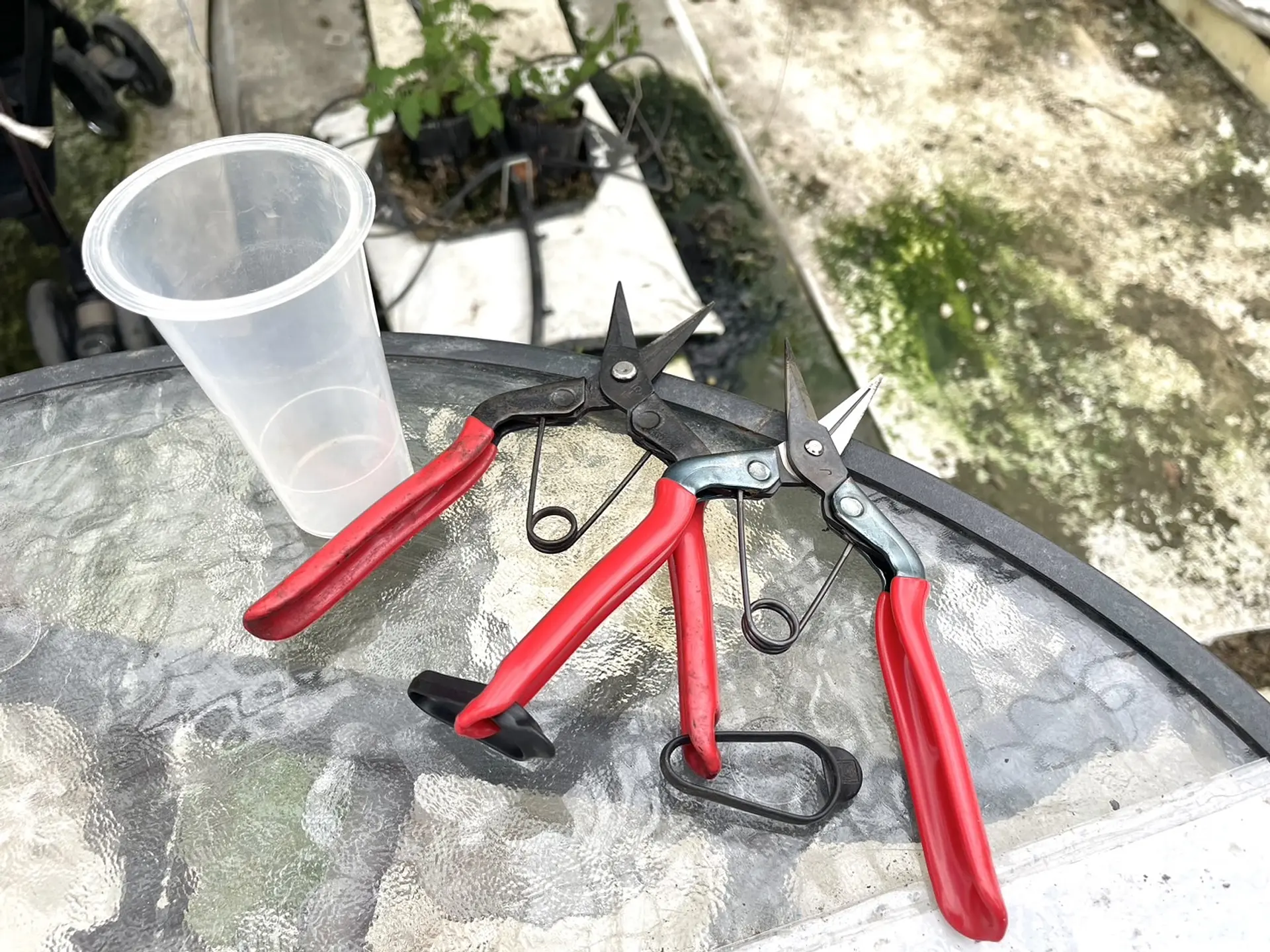 レンタル品のハサミとヘタ入れ容器