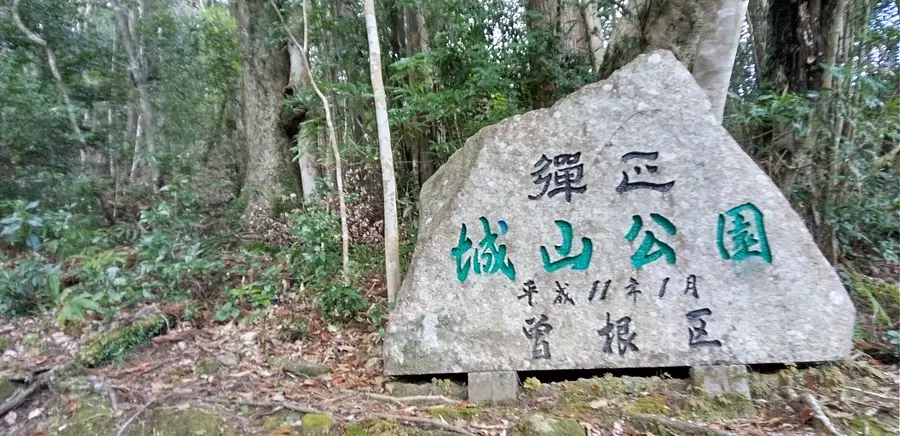 尾鷲市曽根町のムラサキオンツツジ（城山公園・浄の城（曽根城跡））
