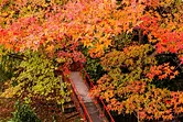 水沢もみじ谷の紅葉