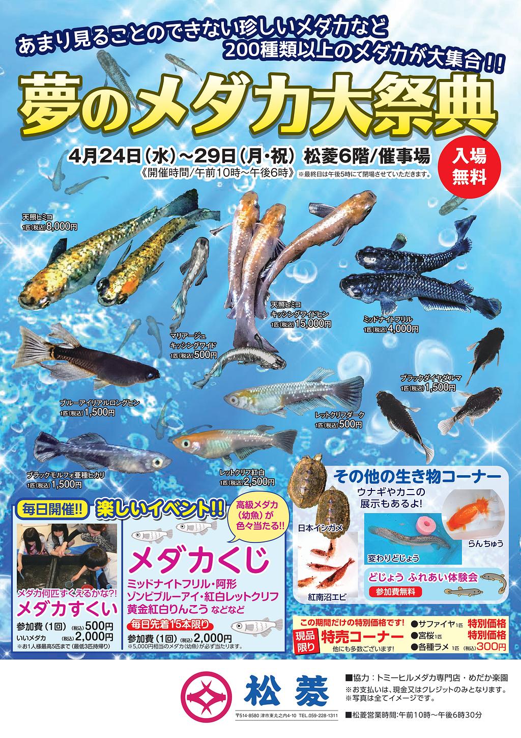 癒しフェス 都城市道の駅ニクル メダカ めだか イベント