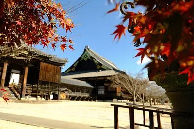 高田本山専修寺の紅葉（1）
