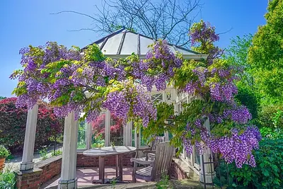 松阪農業公園ベルファーム