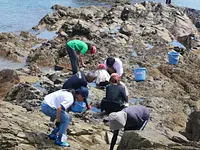 相差磯場体験 in 千鳥ヶ浜（相差旅館組合×三重大学）