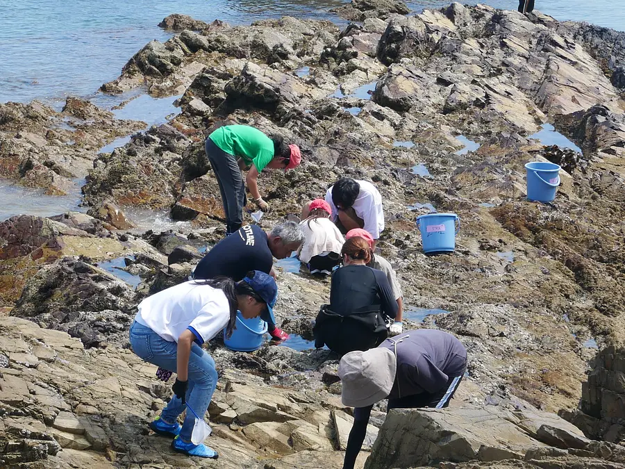 相差磯場体験 in 千鳥ヶ浜（相差旅館組合×三重大学）