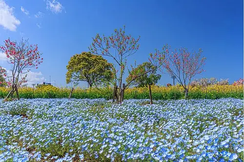 Mie Prefectural Sun Arena Flower Square