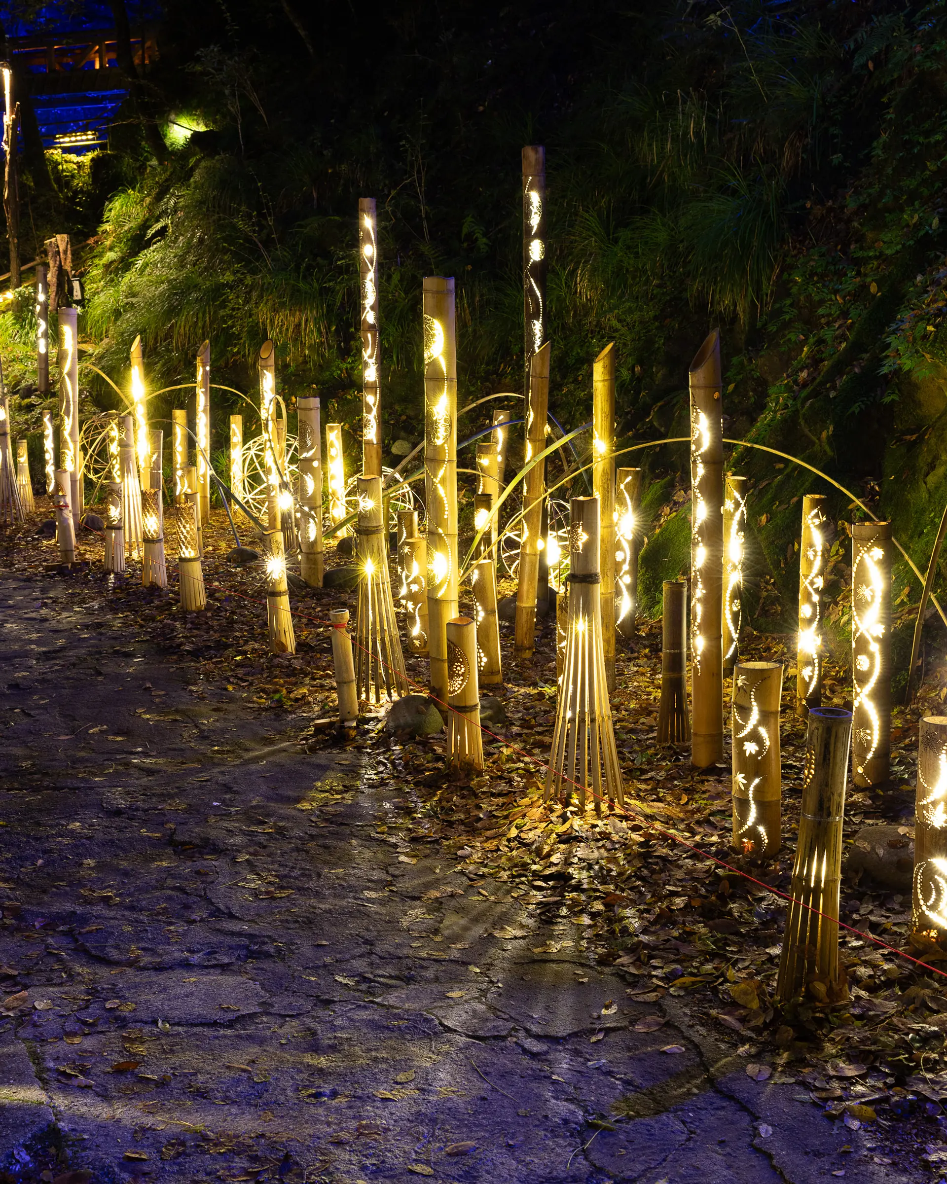 赤目四十八滝　幽玄の竹あかり010