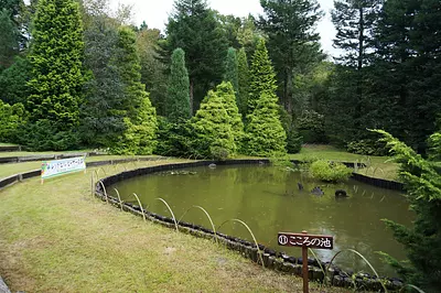 赤塚植物園の栽培見本農場「レッドヒルヒーサーの森」がオープン　場所やアクセス、入園料金をご紹介