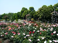花と緑と食のテーマパーク「なばなの里」Nabana no Sato